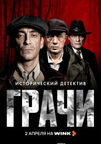 Грачи (2026)